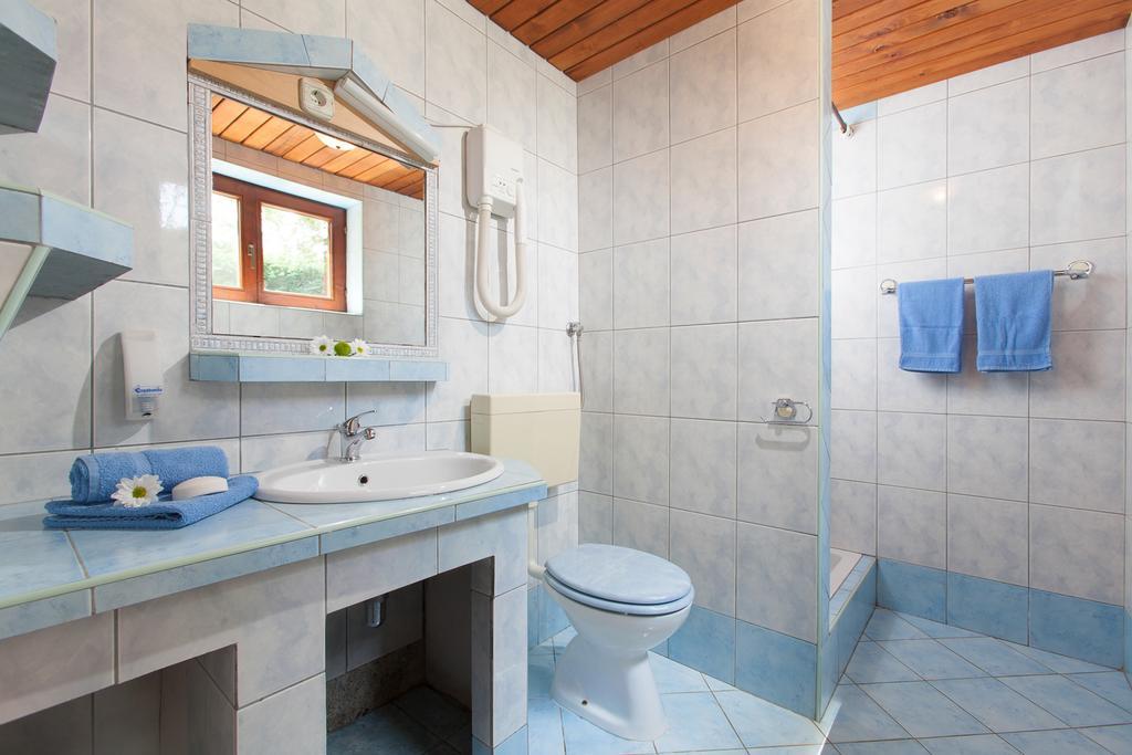 Daila Apartments Новиград Стая снимка